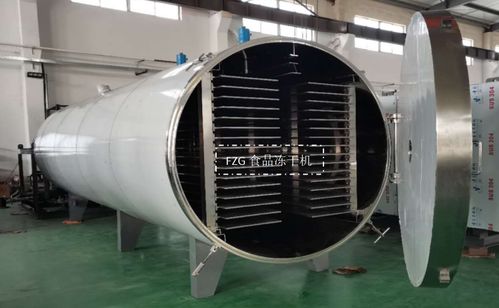 大型食品凍干機(jī)交付廣西，賦能果蔬凍干深加工技術(shù)升級(jí)